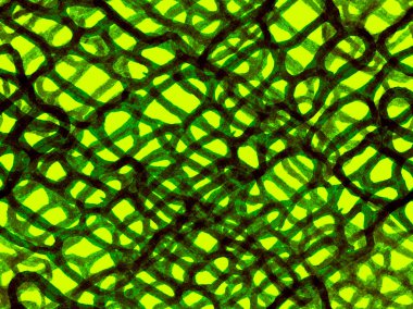 Timsah Kusursuz Şablon. Yırtıcı Hayvan Derisi İzi. Ejderha Derisi Taklidi. Green ve Aqua Menthe Africa Hayvan Derisi İllüstrasyonu. Timsah Kapanış Arkaplanı. El çizimi timsah deseni.