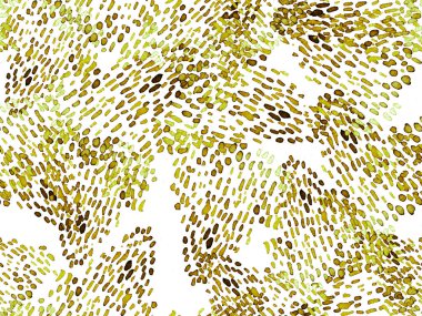 Kehribar turuncu leopar desensiz. Suluboya El Çita Yazısı. Vahşi Cilt Egzotik Doku. Geometrik Kürk arka planı. Leopar ve Jaguar Deri. Suluboya El Boyalı Cilt Deseni.