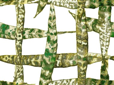 Klasik Eko Uyum. Yeşil ve Gri Suluboya Tertemiz Kalıp 'ı terk ediyor. Egzotik Mayo Tasarımı. Hawaii Kova Parmak izi. Yaz Çiçeği Arkaplanı. Botanik Ormanı Çizimi.