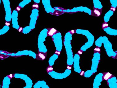 Elapidae Kapanış Arkaplanı. El çizimi Aspid Deseni. Aspid Pürüzsüz Düzen. Afrika Safari Deri Çizimi. Klasik Mavi ve Çivit Yılan Derisi İzi. Zehirli Ejder Taklidi.