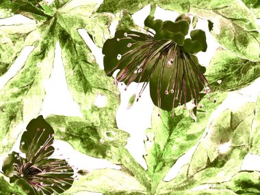 Kalın Çiçek deseni. Yeşil Arkaplanda Büyük Tropikal Kusursuz Parmak izi. Geniş Egzotik Bahar Maracuya Sonsuz Arkaplanı. Modern Kalın Çiçek Deseni.