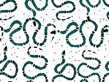 Yılan Derisi Parmak izi. Zehirli Ejder Taklidi. Aspid Pürüzsüz Düzen. Elapidae Kapanış Arkaplanı. El çizimi Aspid Deseni. Yeşil ve Aqua Menthe Afrika Safari Deri Çizimi.