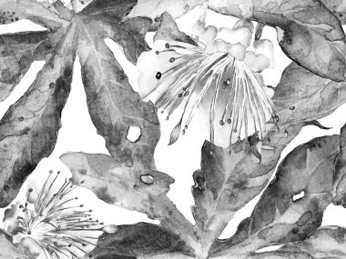 Kalın Çiçek deseni. Siyah ve Beyaz Arkaplanda Büyük Hawaii Kusursuz Parmak izi. Big Jungle Spring Aquarelle Maracuja Sonsuz Arkaplanı. Kalın Çiçek Tasarımı.