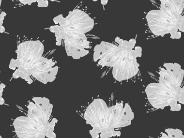 Çiçek desenli moda. Siyah ve Beyaz Arkaplanda Büyük Orman Kusursuz Parmak izi. Büyük Hawaii Baharı Maracuya Sonsuz Arkaplanı. Rastgele Çiçek Deseni.