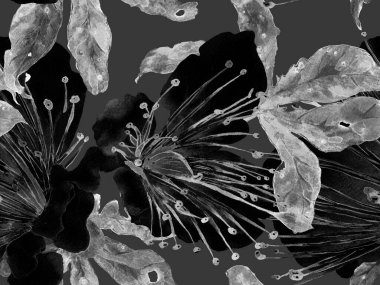 Kalın Çiçekler. Siyah ve Beyaz Arkaplanda Büyük Tropikal Kusursuz Parmak izi. Büyük Orman Bahar Aquarelle Granadilla Sonsuz Arkaplan. Soyut Kalın Çiçek Yazdırma. 