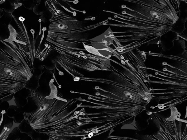 Kalın Çiçek deseni. Siyah ve Beyaz Arkaplanda Büyük Hawaii Kusursuz Parmak izi. Büyük Orman Yaz Suluboya Granadilla Sonsuz Arkaplan. Modern Kalın Çiçek Deseni.
