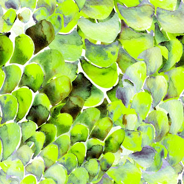 Bilge Yeşil Yılan Kusursuz Şablon. Suluboya El Çizilmiş Piton Yazısı. Kobra Derisi Egzotik Doku. Geometrik Yılan Arkaplanı. Zehir ve Yılan derisi. Suluboya El Boyalı Döşeme Deseni.