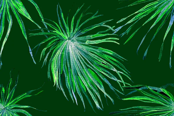 Palm Leaves Fun Texture 약자이다 Horizontal Tropic Design 스윙웨어 바다없는 — 스톡 사진