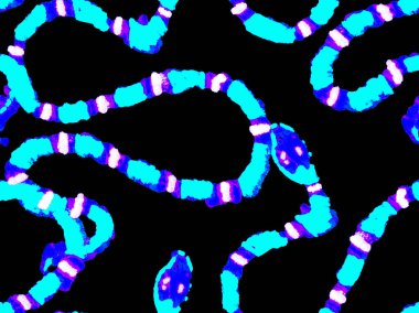 Yılan Derisi Parmak izi. Zehirli Ejder Taklidi. Elapidae Kapanış Arkaplanı. El çizimi Aspid Deseni. Afrika Safari Deri Çizimi. Klasik Mavi ve İndigo Aspid Kusursuz Desen.