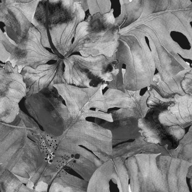 Tropikal desen. Suluboya egzotik çiçekler ve canavar yaprakları. Palm ve Hibiscus ormanları pürüzsüz. Yaz Hawaii suluboya geçmişi. Tropik palmiyeler, canavarlar, çiçek desenleri..