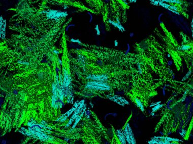 Modern Doodle Header. Yatay Şablon İçin Yeşil Arkaplanda Şirin Büyük Yaratıcı Geometrik Kusursuz Desen. Büyük Yaratıcı Asgari Yazdırma. Pastel Doodle Başlığı.