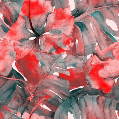 Egzotik desen. Suluboya tropik çiçekler ve canavar yaprakları. Palm ve Hibiscus ormanları pürüzsüz. Bahar Hawaii suluboya geçmişi. Avuç içleri, canavarlar, mayo izleri..