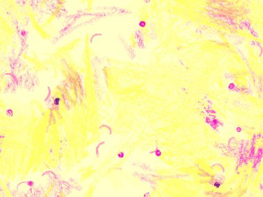 Modern Doodle Header. Yatay Şablon için Sarı Arkaplanda Sevimli Büyük Çağdaş Geometrik Kusursuz Desen. Büyük Moda Asgari Baskı. Pastel Doodle Başlığı.