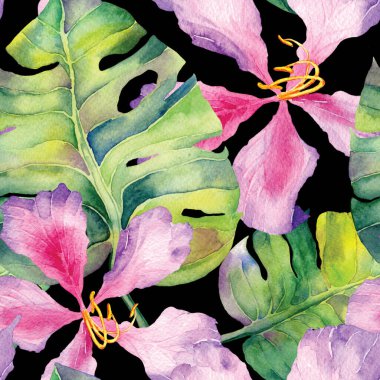 Yaz döngüsü. Suluboya tropik çiçekler ve canavar yaprakları. Palm ve Hibiscus ormanları pürüzsüz. Yaz Hawaii suluboya geçmişi. Avuç içleri, canavarlar, mayo izleri..