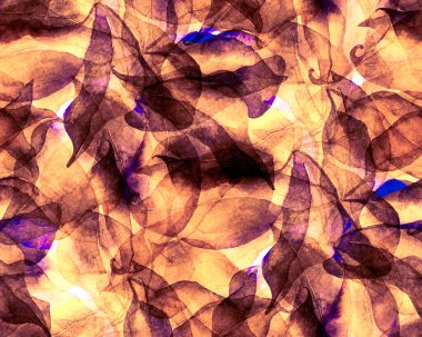 Schefflera Arboricola Kusursuz Düzen. Mavi ve Kırmızı Evergreen, egzotik çiçekli Walisongo Bitkisi. Botanik Suluboya Yazdırma. Schefflera Aktinophylla Hayata Tekrarlanan Süs