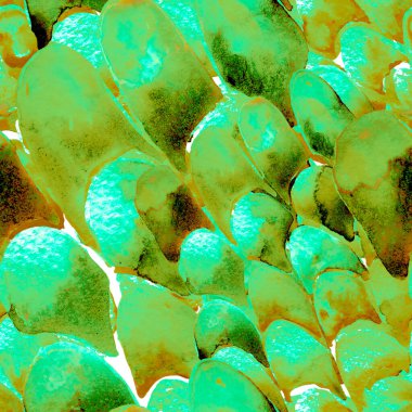 Bilge Yeşil Yılan Kusursuz Şablon. Suluboya El Çizilmiş Piton Yazısı. Kobra Derisi Egzotik Doku. Geometrik Yılan Arkaplanı. Zehir ve Yılan derisi. Suluboya El Boyalı Döşeme Deseni.