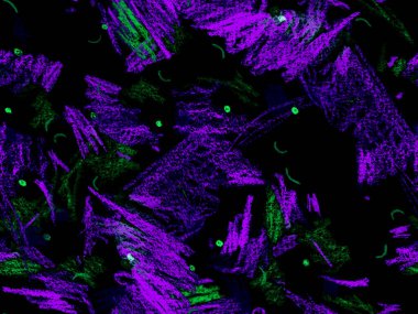 Yaratıcı Boya Başlığı. Mavi 'de Sevimli Büyük Çağdaş Geometrik Düzen, Yatay Şablon' da İndigo Arkaplanı. Büyük Yaratıcı Asgari Yazdırma. Soyut Boya Başlığı.