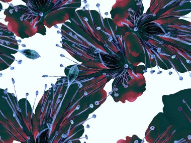 Kalın Çiçek deseni. Siyah ve Beyaz Arkaplanda Büyük Hawaii Kusursuz Yazısı. Büyük Hawaii Bahar Kova 'sı Maracuya Sonsuz Arkaplanı. Kalın Çiçek Tasarımı.