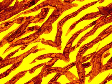 Afrika deseni. Çizgili, kusursuz desen. Altın sarısı zebra derisi baskısı. Hayvan kamuflajı arka planı. Geometrik hayvan dokusu. Suluboya Kamuflaj Tasarımı. Soyut Safari Döşemesi.