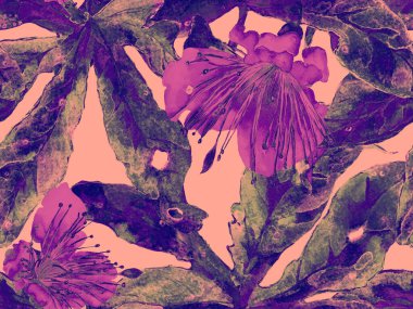 Kalın Çiçek deseni. Kızıl Arkaplanda Büyük Egzotik Kusursuz Parmak izi. Büyük Hawaii Yaz Aquarelle Lilikoi Sonsuz Geçmişi. Modern Kalın Çiçek Deseni.