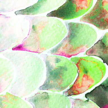 Deniz köpüğü yeşili Yılan Tasarımı. Suluboya El Çizilmiş Piton Yazısı. Kobra Derisi Egzotik Doku. Geometrik Yılan Arkaplanı. Zehir ve Yılan derisi. Suluboya El Boyalı Arkaplan.