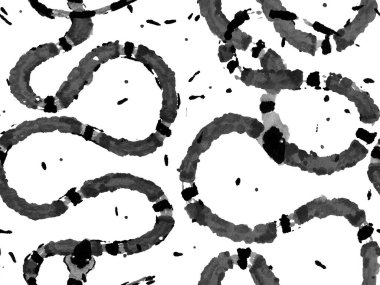 Aspid Pürüzsüz Düzen. El çizimi Aspid Deseni. Tek renkli ve gri tonlu Afrika Safari Deri Çizimi. Yılan Derisi Parmak izi. Zehirli Ejder Taklidi. Elapidae Kapanış Arkaplanı.