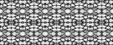 Etnik Kusursuz Düzen. Yılan Derisi Rastgele Doku. Eğlenceli Dikdörtgen İkat Uyumu. Siyah ve Beyaz Suluboya Etnik Tasarım. Boya fırçası Python arka planı. Sembol Geometrik Mayo Şablonu.