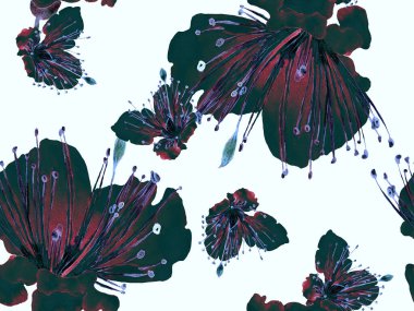 Cesur soyut çiçek deseni. Siyah ve Beyaz Arkaplanda Büyük Hawaii Kusursuz Parmak izi. Büyük Egzotik Yaz Aquarelle Maracuja Sonsuz Arkaplan. Modern Kalın Soyut Çiçek Deseni.