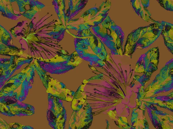 Kalın Çiçek deseni. Kahverengi Arkaplanda Geniş Ormansız Parmak izi, Kara Arkaplan. Büyük Tropik Yaz Suluboya Lilikoi Sonsuz Geçmişi. Kalın Çiçek Tasarımı.