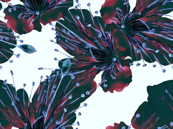 Kalın Çiçek deseni. Siyah ve Beyaz Arkaplanda Büyük Hawaii Kusursuz Yazısı. Büyük Hawaii Bahar Kova 'sı Maracuya Sonsuz Arkaplanı. Kalın Çiçek Tasarımı.