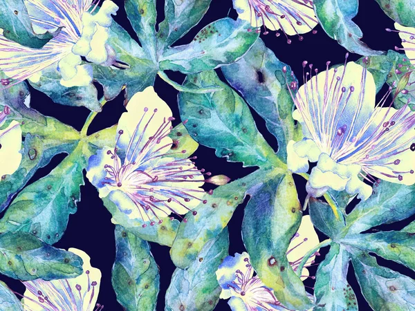 Cesur soyut çiçek deseni. Yeşil ve Kırmızı Arkaplanda Büyük Tropikal Kusursuz Parmak izi. Büyük Egzotik Yaz Aquarelle Granadilla Sonsuz Arkaplan. Modern Kalın Soyut Çiçek Deseni.