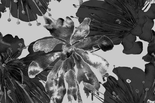 Siyah ve Beyaz Suluboya Yatay Tropik Tasarım. Palm Geometric Mayo desenli. Palmiye yapraklarının eğlenceli dokusu. Tropikal Kusursuz Desen. Etnik Aloha İlişkisi. Egzotik Yaprak Bikini Arkaplanı. 