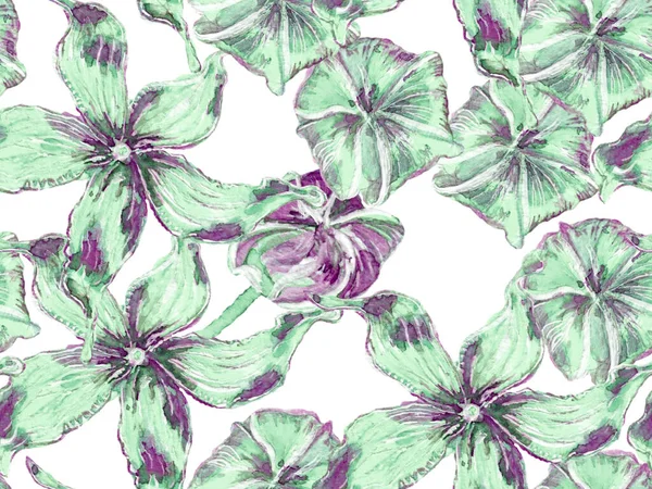 Зеленый Aqua Menthe Летний Винтажный Фон Bio Jasmin Seamless Pattern — стоковое фото