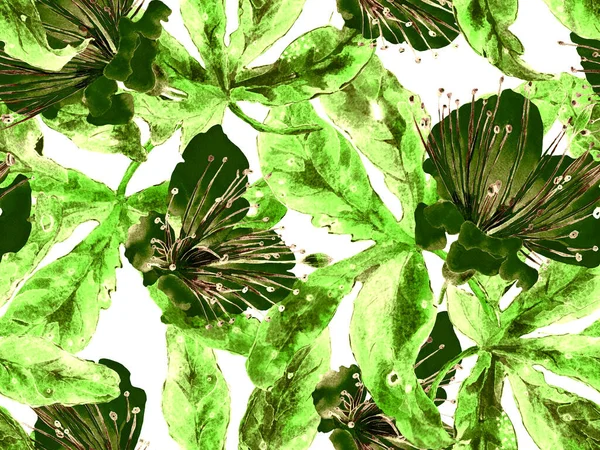 Cesur Çiçek Tasarımı. Yeşil Arkaplanda Büyük Tropikal Kusursuz Parmak izi. Büyük Hawaii Yaz Sulu Tutku Meyvesi Sonsuz Arkaplan. Sanatsal Kalın Çiçek Tasarımı.