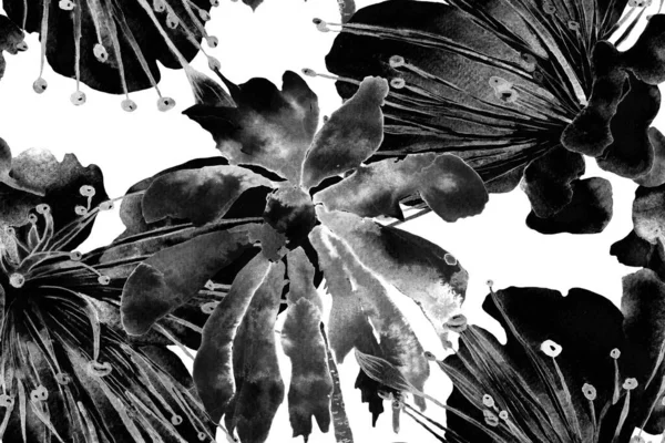 Siyah ve Beyaz Suluboya Yatay Tropik Tasarım. Palm Geometric Mayo desenli. Etnik Aloha İlişkisi. Egzotik Bikini Özgeçmişi. Palmiye yapraklarının eğlenceli dokusu. Tropikal Kusursuz Desen.