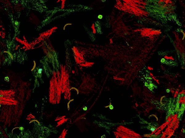 Yaratıcı Boya Başlığı. Kırmızı Üzerine Şirin Büyük Olağandışı Geometrik Desen, Yatay Şablon İçin Pembe Arkaplan. Büyük Yaratıcı Asgari Yazdırma. Soyut Boya Başlığı.