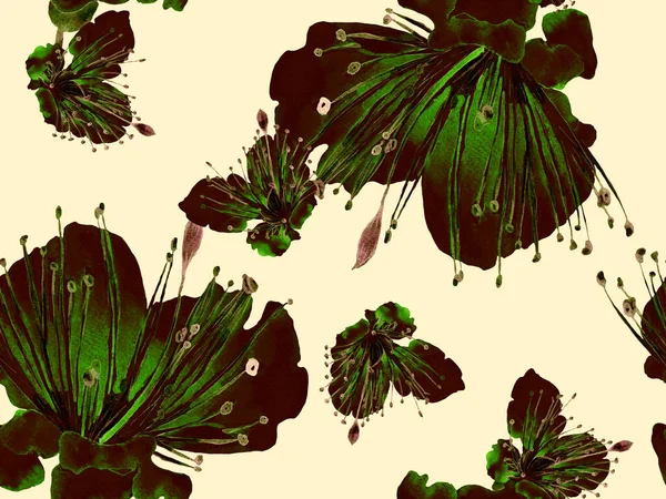 Kalın Çiçek deseni. Yeşil Arkaplanda Büyük Tropikal Kusursuz Parmak izi. Büyük Hawaii Baharı. Sonu gelmez Tutku Meyvesi. Kalın Çiçek Tasarımı.
