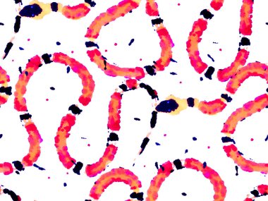 Yılan Derisi Parmak izi. Zehirli Ejder Taklidi. Kırmızı El Aspid desenli. Elapidae Kapanış Arkaplanı. Aspid Pürüzsüz Düzen. Afrika Safari Deri Çizimi.