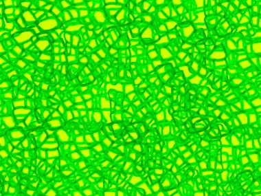 Yeşil ve Aqua Menthe Hand Timsah desenli. Afrika Deri Çizimi. Timsah Kusursuz Şablon. Timsah Kapanış Arkaplanı. Yırtıcı Hayvan Derisi İzi. Ejder Derisi Taklidi.