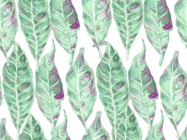 Biyo Jasmin Kusursuz Şablon. Yaz Vintage Arkaplanı. Canlı Sakura ve Jasmine Print. Çiçek Ayurveda deseni. Yeşil ve Aqua Menüsü Suluboya Turuncu Çiçek ve Yapraklar.