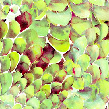 Bilge Yeşil Yılan Kusursuz Şablon. Suluboya El Çizilmiş Piton Yazısı. Kobra Derisi Egzotik Doku. Geometrik Yılan Arkaplanı. Zehir ve Yılan derisi. Suluboya El Boyalı Döşeme Deseni.