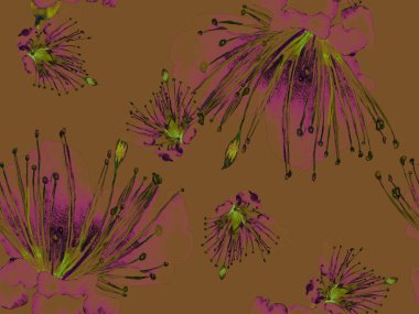 Kalın Çiçek deseni. Kızıl Arkaplanda Büyük Hawaii Kusursuz Parmak izi. Büyük Hawaii Yaz Aquarelle Lilikoi Sonsuz Arkaplan. Kalın Çiçek Tasarımı.