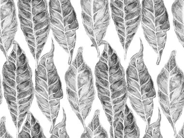 Canlı Sakura ve Jasmine Print. Yaz Vintage Arkaplanı. Suluboya Turuncu Çiçek ve Yapraklar. Biyo Jasmin Kusursuz Şablon. Çiçek Ayurveda deseni. Monokrom ve Gri Pul