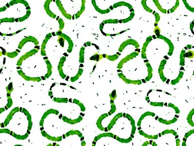 Yılan Derisi Parmak izi. Zehirli Ejder Taklidi. Aspid Pürüzsüz Düzen. Yeşil ve Aqua Menthe Hand Asma Desenli. Elapidae Kapanış Arkaplanı. Afrika Safari Deri Çizimi.