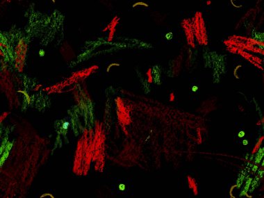 Etnik El Çekim Başlığı. Kırmızı Üzerine Şirin Büyük Yaratıcı Geometrik Desen, Yatay Şablon İçin Pembe Arkaplan. Büyük Moda Asgari Baskı. Geometrik El Çizim Başlığı.
