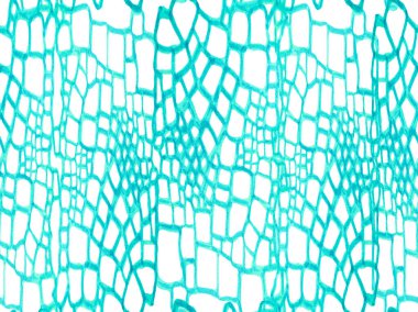 Afrika Deri Çizimi. Green ve Aqua Menthe Timsah Kapanış Arkaplanı. El çizimi timsah deseni. Timsah Kusursuz Şablon. Yırtıcı Hayvan Derisi İzi. Ejder Derisi Taklidi.