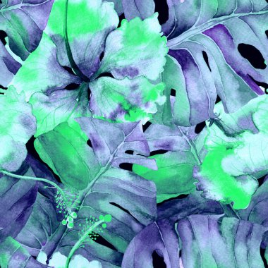 Yaz döngüsü. Suluboya tropik çiçekler ve canavar yaprakları. Palm ve Hibiscus ormanları pürüzsüz. Yaz Hawaii suluboya geçmişi. Avuç içleri, canavarlar, mayo izleri..