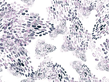 Siyah ve Beyaz Hayvani Kusursuz Şablon. Suluboya el izi. Afrika egzotik kamuflajı. Geometrik suluboya arka plan. Vahşi hayvan kürkü dokusu. Suluboya El Boyalı Cilt Deseni.