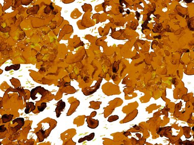 Kehribar turuncu leopar desensiz. Suluboya El Çita Yazısı. Vahşi Cilt Egzotik Doku. Geometrik Kürk arka planı. Leopar ve Jaguar Deri. Suluboya El Boyalı Cilt Deseni.