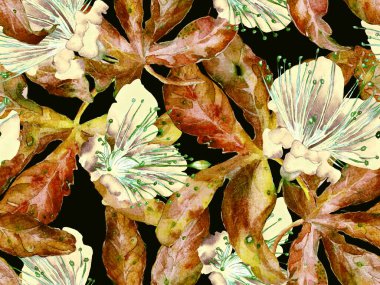 Bold Floral Print. Kahverengi Arkaplanda Büyük Hawaii Kusursuz Parmak izi, Kara Arkaplan. Büyük Hawaii Yaz Aquarelle Maracuja Sonsuz Arkaplan. Moda Kalın Çiçek Yazdırma.